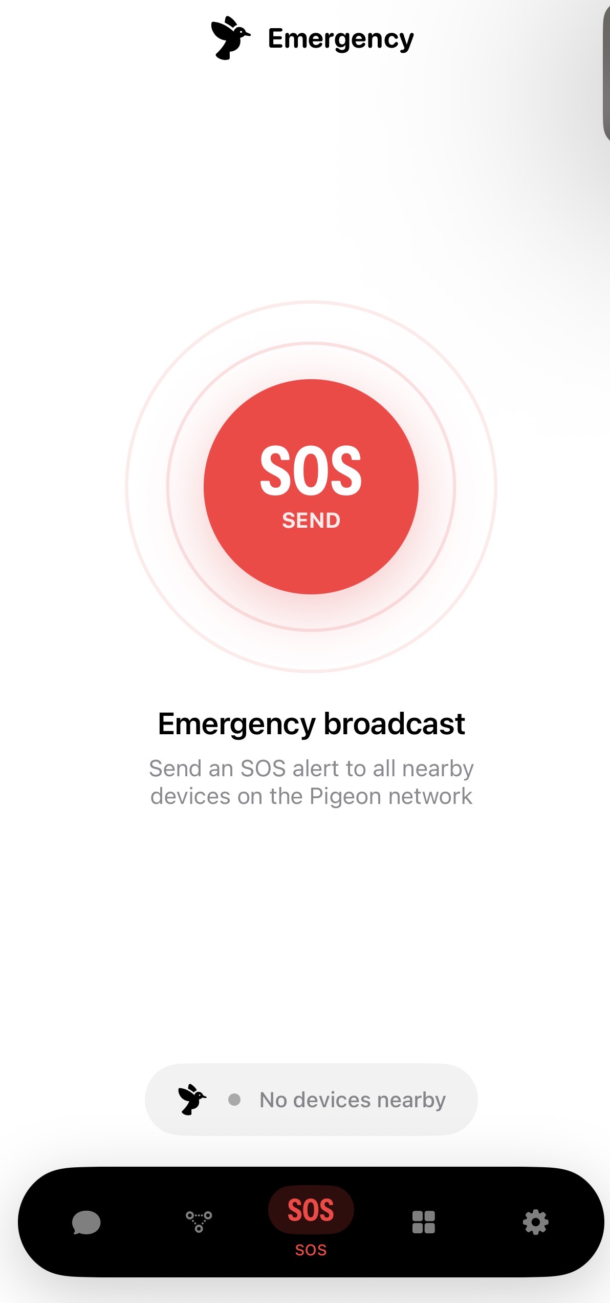 Pigeon